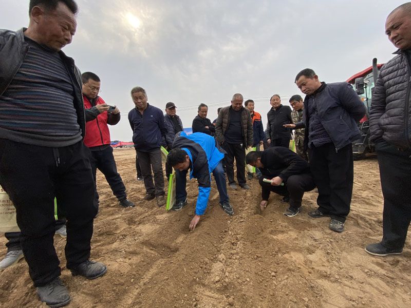 山东奥龙参加阳谷县高性能播种机演示现场会